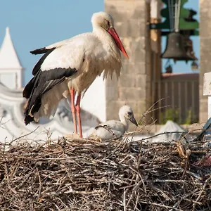 Albergue Stork, Olhão